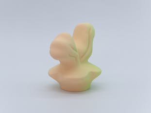 Gradation Form (PO/NG) #01